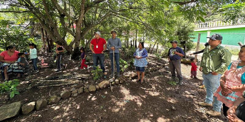 Optimizan producción de jocote gracias a la asistencia técnica en fruticultura 