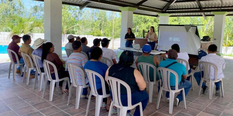 Productores de El Progreso fortalecen sus ventas con herramientas de marketing digital