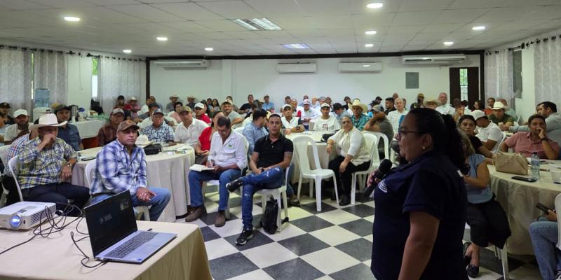 Ganaderos de Izabal conocen cómo ingresar al régimen especial del sector primario y pecuario