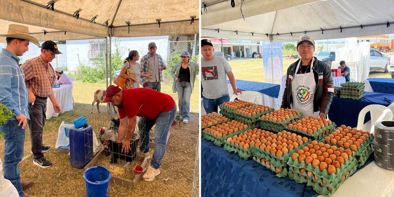 Productos agrícolas y artesanales destacan en Feria del Agricultor en Jalapa