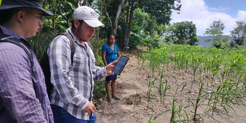 Promueven la caracterización agrícola mediante el RUA en Olopa