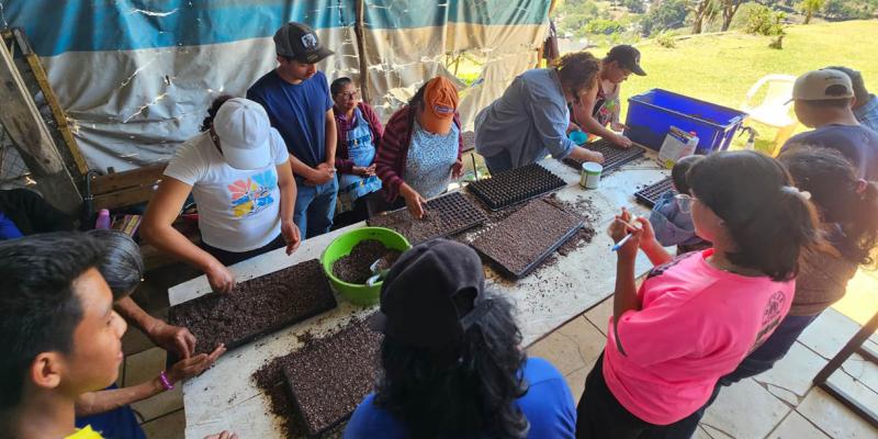 Nuevas técnicas fortalecen el cultivo de pepino en San José Pinula