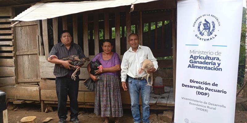 Proyecto avícola fortalece emprendimientos de 46 familias de Alta Verapaz