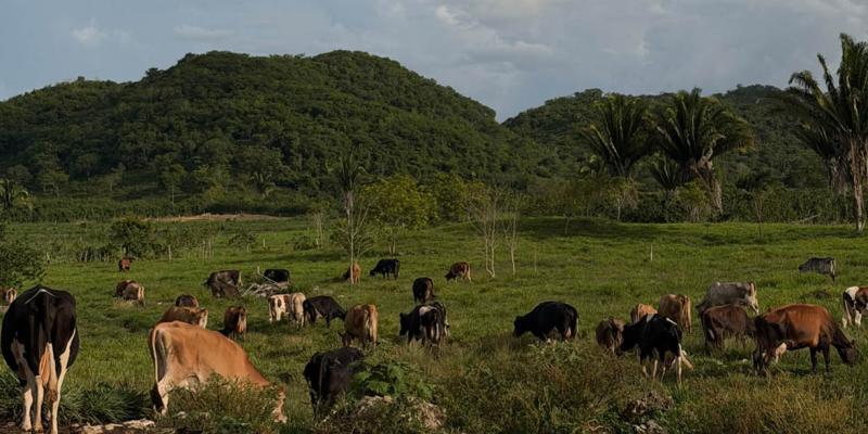 Recomiendan medidas preventivas ante condiciones climáticas de la semana