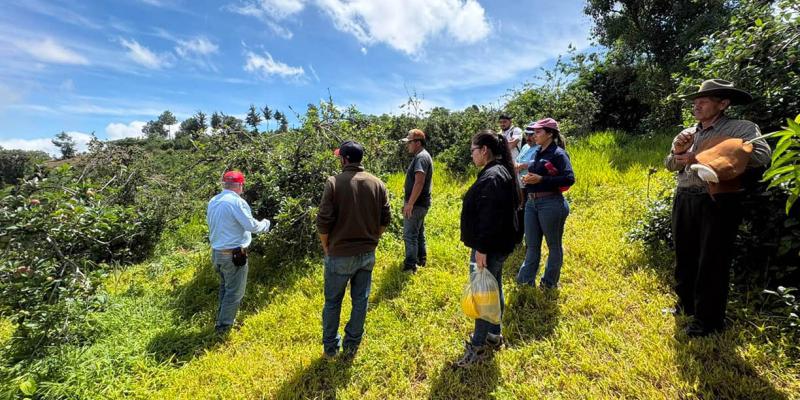 Tecnifican el manejo de plantaciones de manzana en Jalapa
