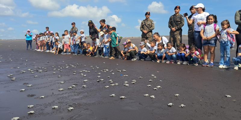 El Ejército de Guatemala fortalece la conservación de las tortugas marinas