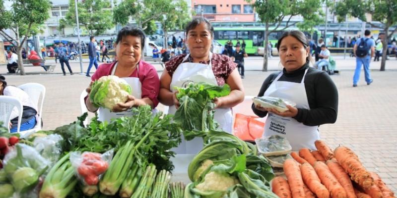 Próxima Feria del Agricultor en Villa Canales
