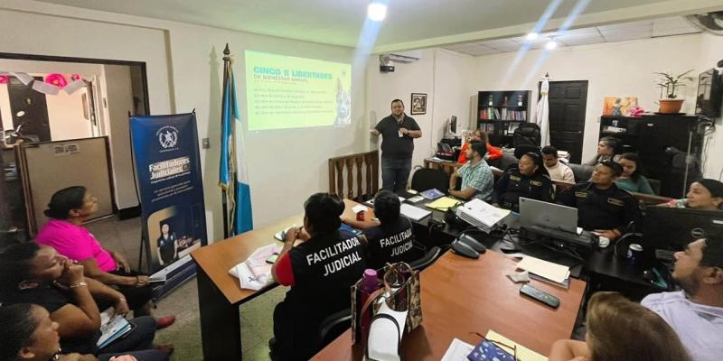 Fortalecen atención de casos de bienestar animal en Cuyotenango