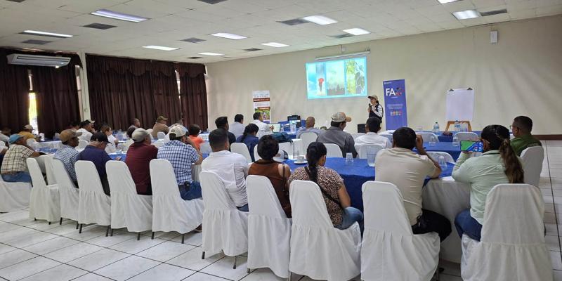 Emiten recomendaciones para fortalecer la producción agrícola en Zacapa, San Marcos e Izabal