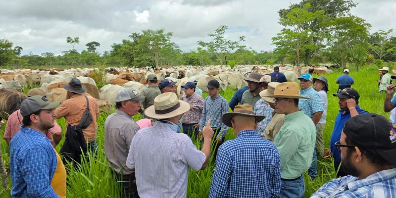 Productores fortalecen prácticas de ganadería regenerativa