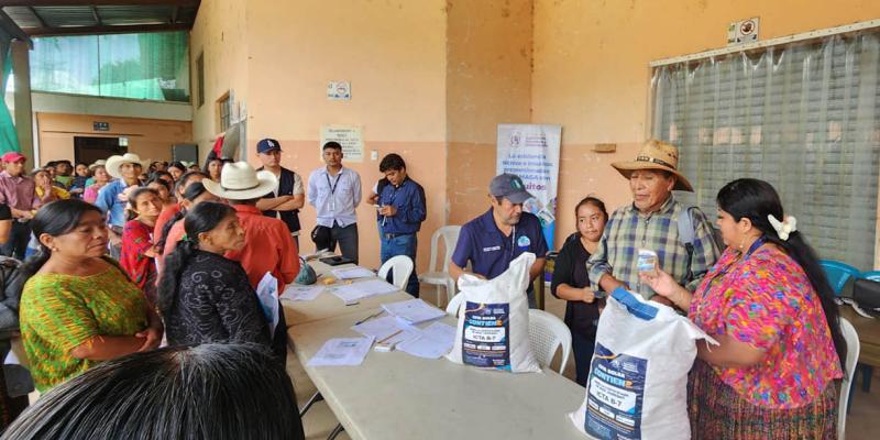 Productores de Alta Verapaz reciben semillas para fortalecer la producción de alimentos