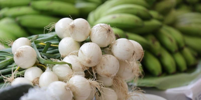 Muy pronto, la Feria del Agricultor estará en Alta Verapaz