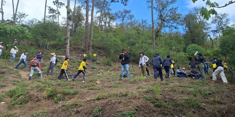 Actividad de reforestación fortalece la masa forestal en la cuenca del río Achiguate 