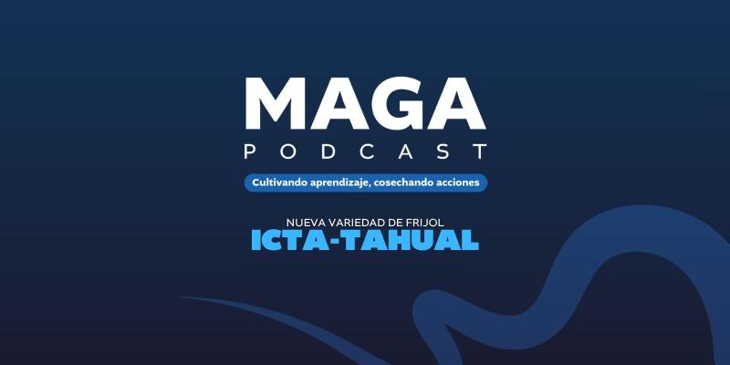 MAGAPodcast | Nueva variedad de frijol ICTA-Tahual