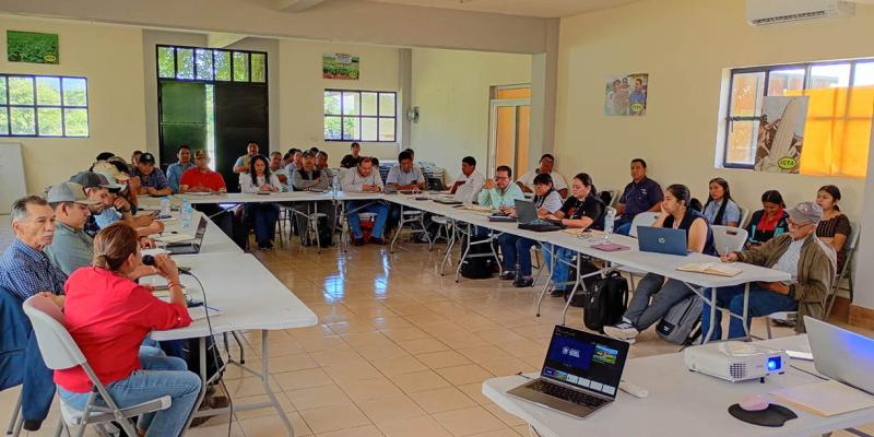 Emiten recomendaciones para que productores de occidente protejan sus cultivos