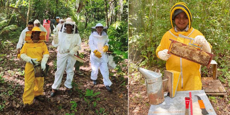 Extensionistas fortalecen conocimientos para mejorar el manejo de apiarios 