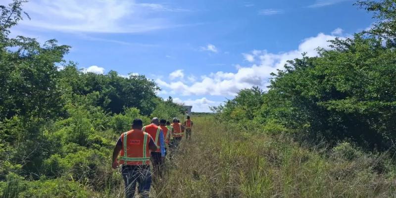Fortalecen el manejo de fauna para vuelos más seguros en Mundo Maya