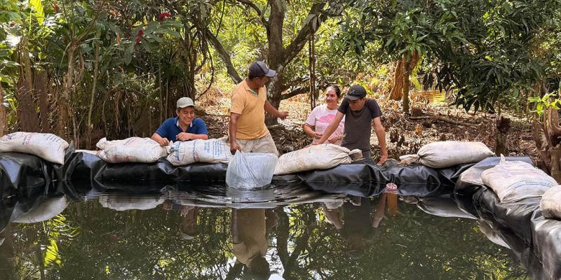 Familias de Santa Rosa fortalecen la producción de tilapia