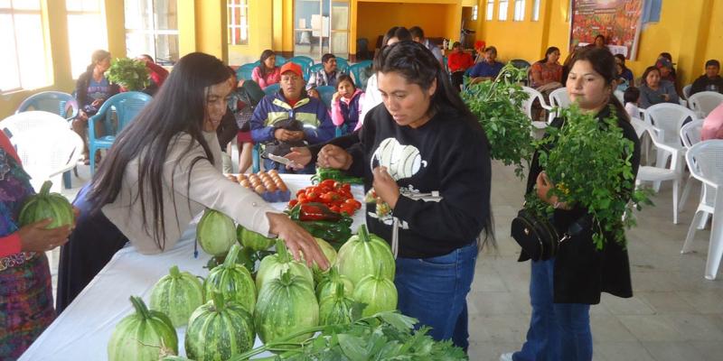 Feria del Agricultor en Tectitán impulsó el comercio de nueve CADER