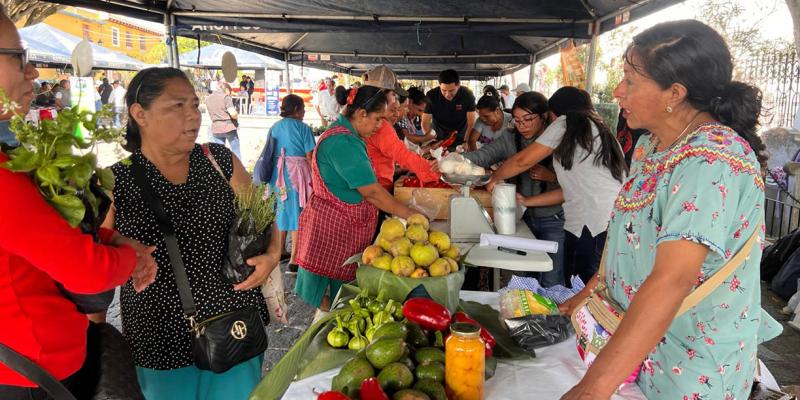 Feria del Agricultor impulsa la venta directa de hortalizas y productos artesanales en Ciudad Vieja