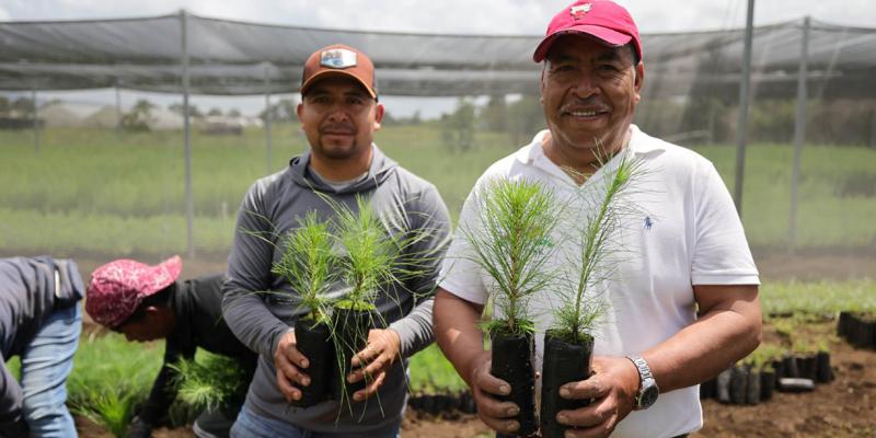 Fortalecen la protección y conservación de cuencas hidrográficas con más de 222 mil plantas forestales