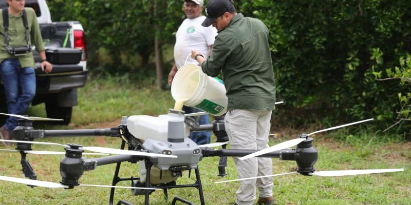 Fumigación con dron fortalece el manejo de cultivos en Petén