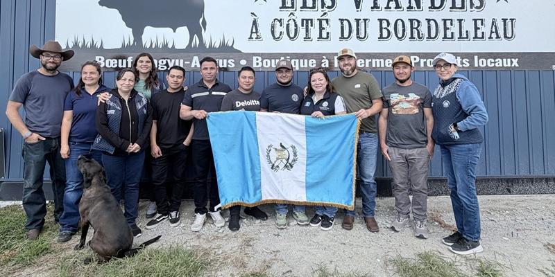 nota de prensa