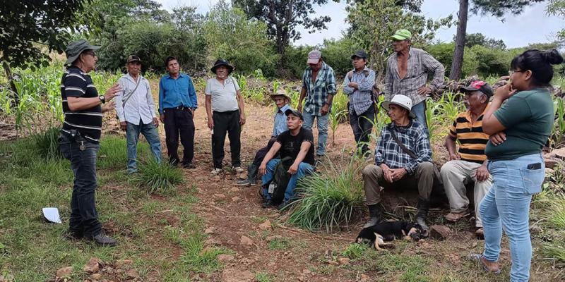 Impulsan la seguridad alimentaria y el registro de agricultores en San Pedro Ayampuc