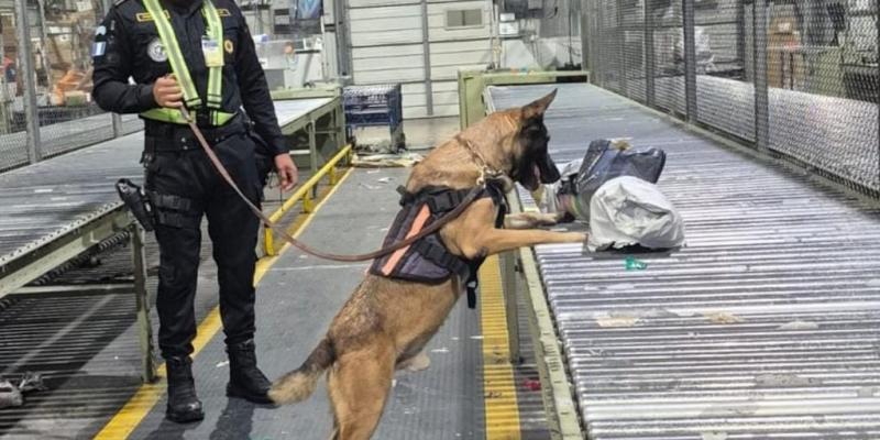 Incautan droga durante intervenciones policiales en Chimaltenango y ciudad capital
