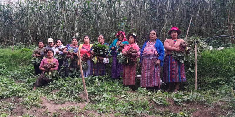 Huerto comunal asegura disponibilidad de alimentos a productores de San Marcos
