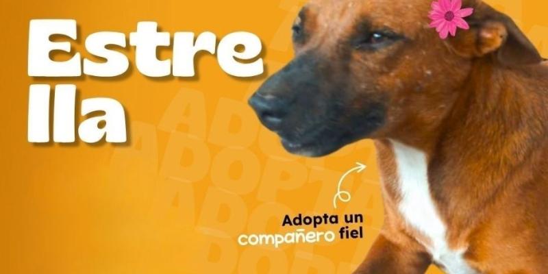 Listos para llenar un hogar con alegría y cariño