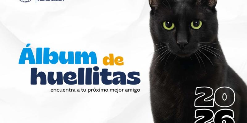 ¿Está listo para adoptar? 