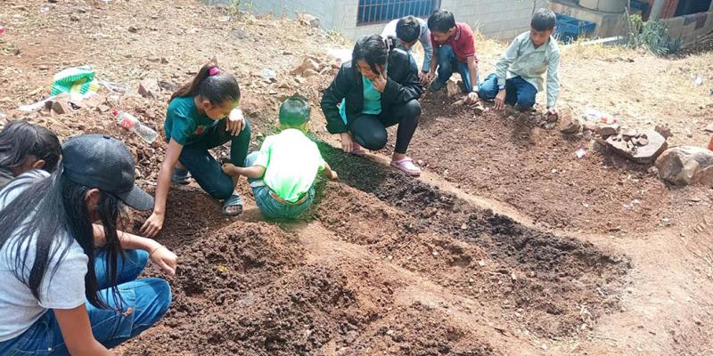 Estudiantes aprenden cómo producir alimentos mediante los huertos escolares