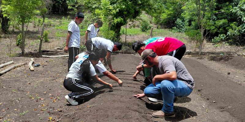 Jóvenes de Petén promueven la agricultura sostenible desde los huertos escolares