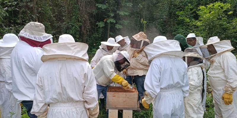 Productores apícolas fortalecen el control de Varroa para mejorar la sanidad de las colmenas